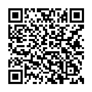 这次不用高扬他们把东西带出机场之后再装车了二维码生成
