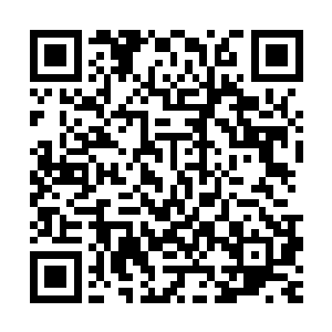 这次严默祈愿任何人看到两孩子都只会把他们看作是无角人小孩二维码生成