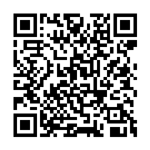 这次为了确保各自门派参加猎海大战弟子的安全二维码生成