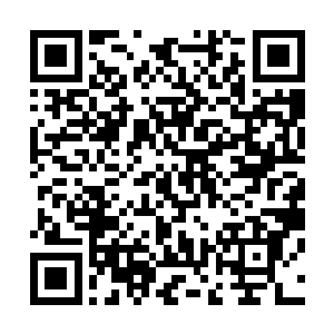 这次也是小漩涡将这个四级旋涡吸引进入自己的丹田之中的二维码生成