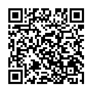 这次交流会几乎是邀请了目前娱乐圈所有出名的明星二维码生成