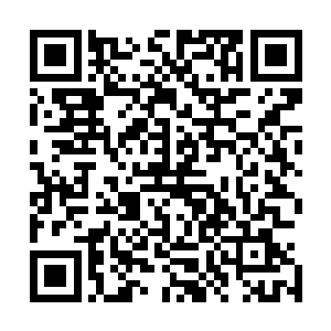 这次从古冰原到不灭天谷又足足多多出了一半的时间还不止二维码生成