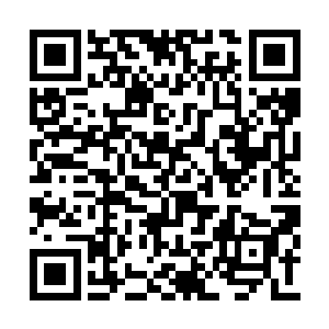 这次他们去了紫龙城内最大的商会――紫龙商会二维码生成