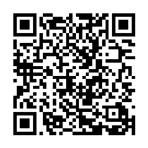 这次他把故宫里积攒了六百年的龙皇之气吸收一空二维码生成