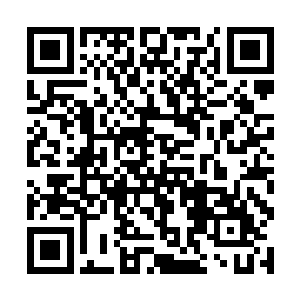 这次他派出了一个地尊期的修士向着第四把仙剑飞去二维码生成