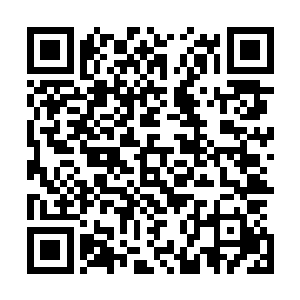 这次众人身后没有诸如清心长老紫妙仙子等实力强劲的敌手二维码生成