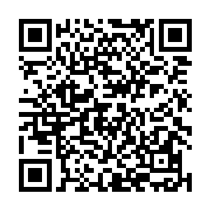 这次众圣虽然依旧没有找到发出声音的究竟是什么东西二维码生成