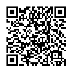 这次你所面对的极可能是一支实力无比强横的水族大军二维码生成
