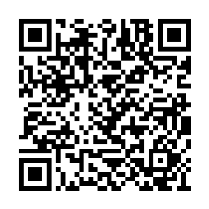 这次倒是很快就在传讯玉简中传来了朗月的声音二维码生成