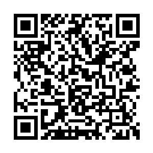 这次倒没什么大猩猩教官或者面目狰狞的指挥官二维码生成