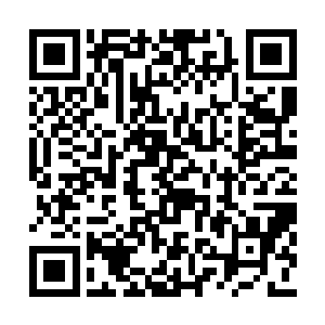 这次出世担任南方盟主也是因为五年之后的浩劫二维码生成