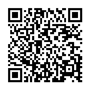 这次出售宫中书画以充实国库的事情是他们两位共同推动的二维码生成