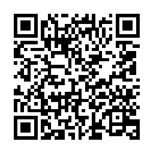 这次出手的就是第10门的首席大弟子幻想vs第三代弟子辰皇二维码生成