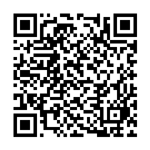 这次别在被人打晕然后要我们两个去把你抬回来了二维码生成