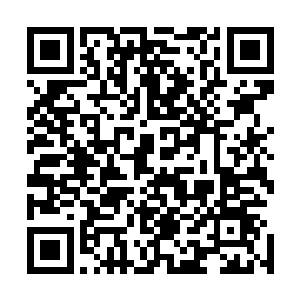 这次前来报名的弟子恐怕没有几个是炼气期第十层修为的吧二维码生成