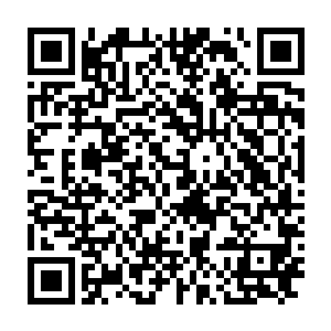 这次前来的红毯众星基本上都是冲着两位影帝男主以及导演孙志远来的二维码生成