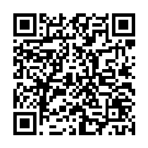 这次卢向东走马上任之后能够第一个来找自己汇报工作二维码生成