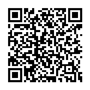 这次却是另一数量庞大到了恐怖的狼群冲将出来二维码生成