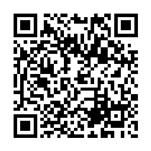 这次参加试炼的修士不仅仅是我们东部宗门修士二维码生成