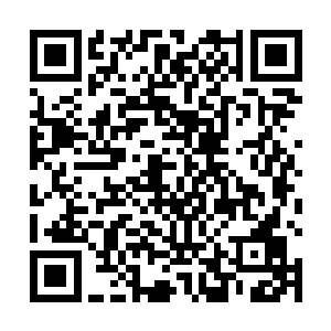 这次可是有数千的高阶散仙和五个大罗金仙级别的仙人二维码生成