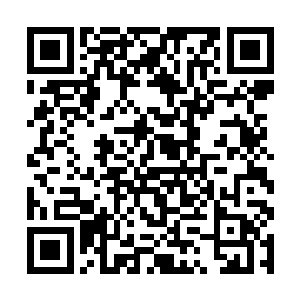 这次咱们村的第一批桃子出口的价格要比过去贵三倍二维码生成