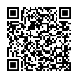 这次噬血妖藤却并没有像窜葫芦一般吞噬灭杀这些水族水妖二维码生成