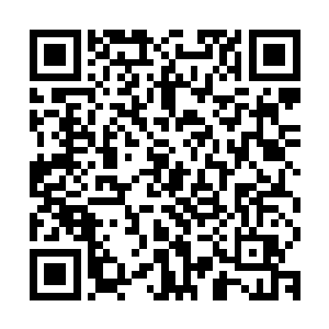 这次天机门到烛龙领帮张铁撑场子的苍穹骑士是德阳真君的师叔二维码生成