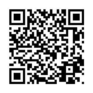 这次天霜殿的殿主一共带出来两个手下二维码生成