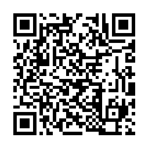 这次女帝军一共派出了六百人追杀咱们冥王佣兵团二维码生成