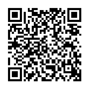 这次她就是无意中在网上搜索到了司城雨当年发生车祸的新闻二维码生成
