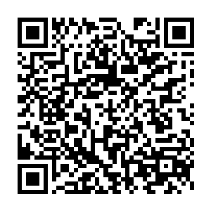 这次她带着四个龙组战士秘密乘坐普通的商船去米国执行秘密任务二维码生成
