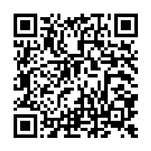 这次守在那里的弟子还是木萦三天前来时看到的那两个二维码生成