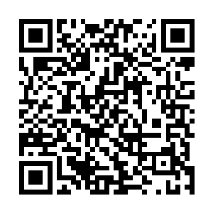 这次客串基本就是板上钉钉了――虽然目前没有签署合同二维码生成