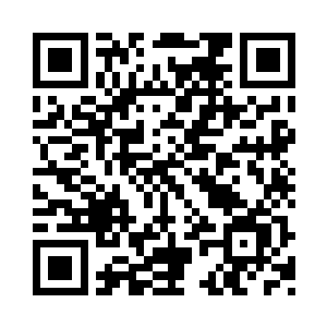 这次小凤凰想起了自己以身为质的艰难日子二维码生成