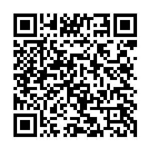 这次小骨用更快的时间将这些骷髅大军收为自己小弟二维码生成