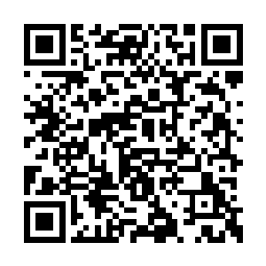 这次就怕你们县长和县委书记都要吃不了兜着走二维码生成