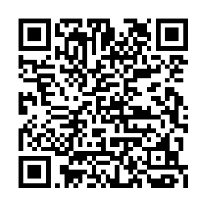 这次就是一片惨绿股市里独自逆势飘红的奇迹股二维码生成