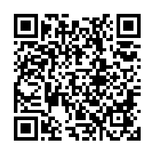 这次就由本宗亲自领教一下玉虚阁的炼丹之术好了二维码生成