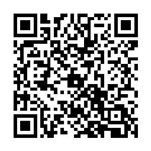 这次就看看你们这两头小狐狸能够摆出什么样的格局吧二维码生成