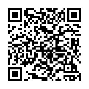 这次就连浩长老都惊讶两人会连这么普通的事都不知道二维码生成