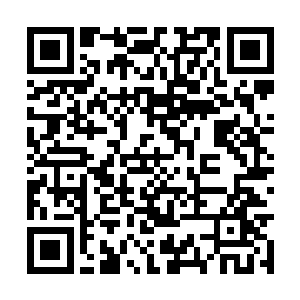 这次尸检不但对李青原做了身体着地点及受力方向二维码生成