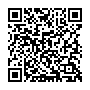 这次师尊可是叫你和大师兄一起去参加评定大会二维码生成