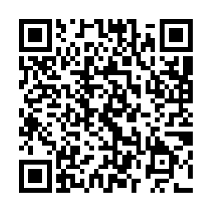 这次带你走主要也是让你见一下你的师兄师姐以及宗门的人二维码生成