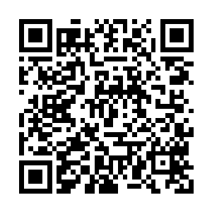 这次帮本郡主挑的美人还真是对了本郡主的胃口二维码生成