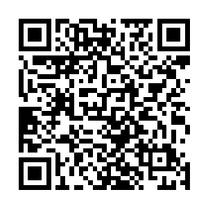 这次我们下山是五长老亲自下令必要完好无损的带叶尊回山二维码生成