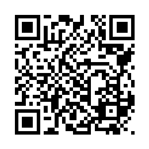 这次我的目的就是为了让你们玩个痛快二维码生成