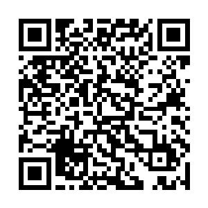 这次拍卖会就见天痕世家不停地拍下一件又一件东西二维码生成