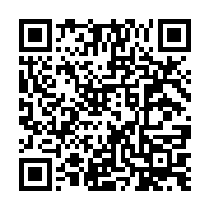 这次新皇在皇陵举办的大型祭祀活动她没有理由再缺席二维码生成