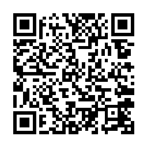 这次是它们两个看在你把它们从凤巢辛苦送来的份上二维码生成