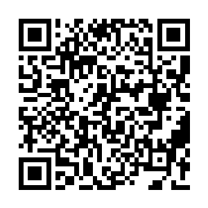 这次是我领着众人去破魔天邪风的魔煞绝仙阵的二维码生成